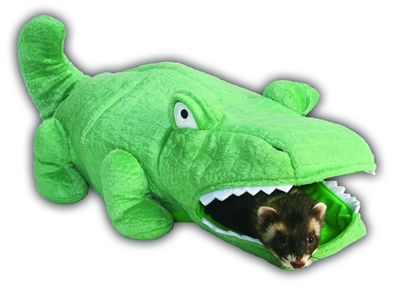 alligator.jpg alligator.jpg